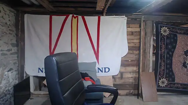 Newfiesausage1972 webcam