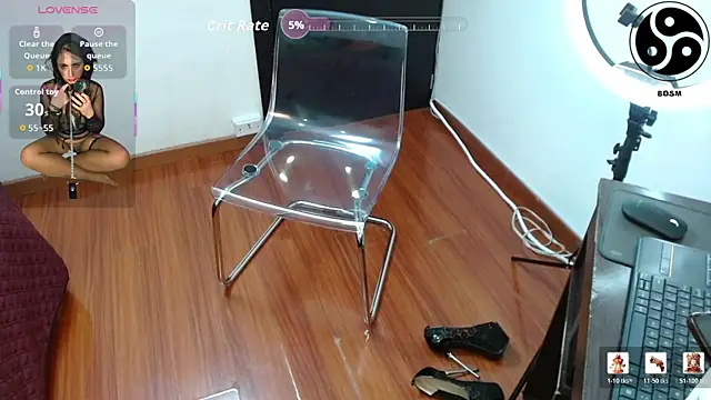 lincebdsm webcam