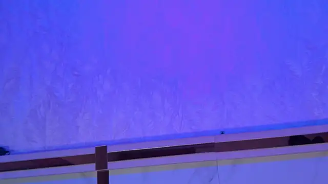 Cameron_Hearts webcam