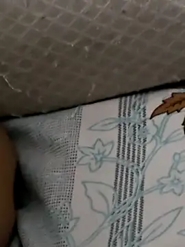 Telugumistress webcam