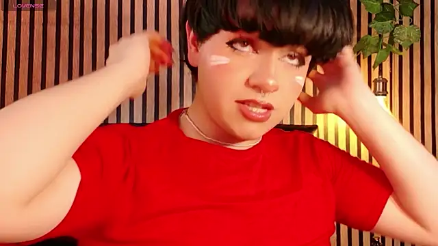 Hiddenhotcake webcam