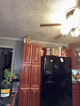 Integrityofsin webcam