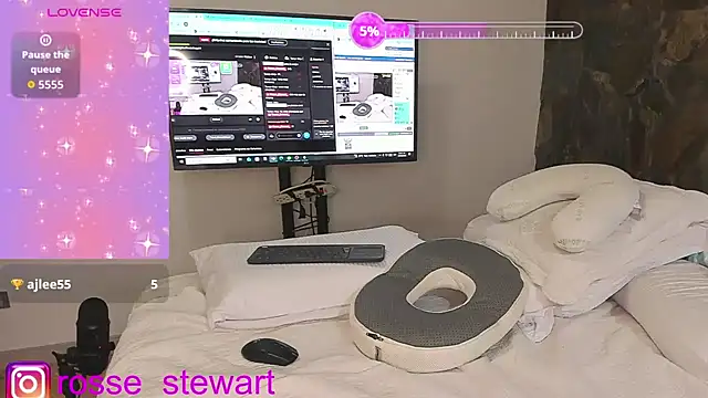 Rosse_Stewart_ webcam