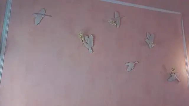 JenniferCamprell webcam