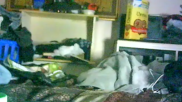 GUAPAN3S3_FIR3 webcam