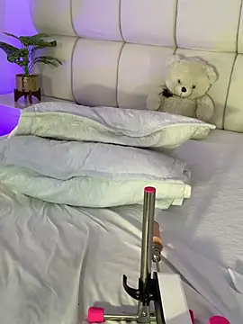 Alexa_Handler webcam