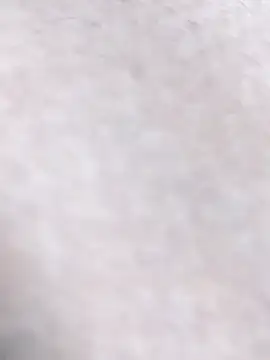 Bangladeshi_big webcam