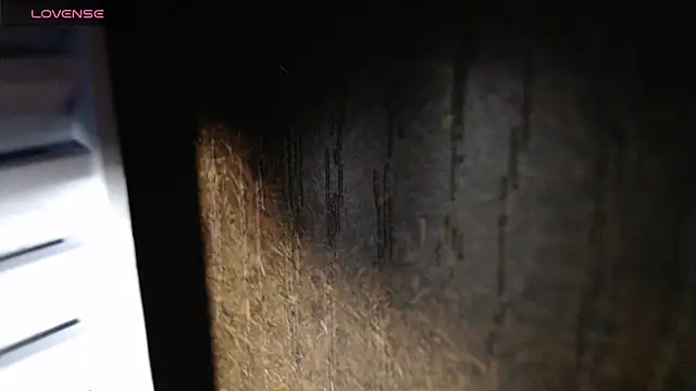 antonela-tompson webcam