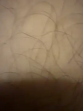 Preview of mikeylong