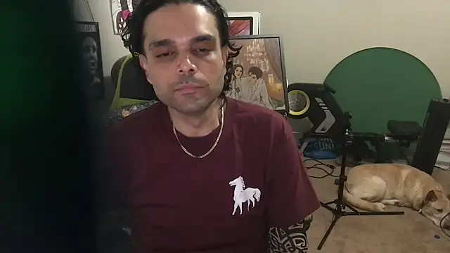 KungFuPanda001 webcam