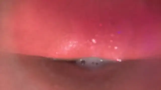 amber_demons2021 webcam