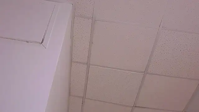 CHARLIE_WALKERR webcam