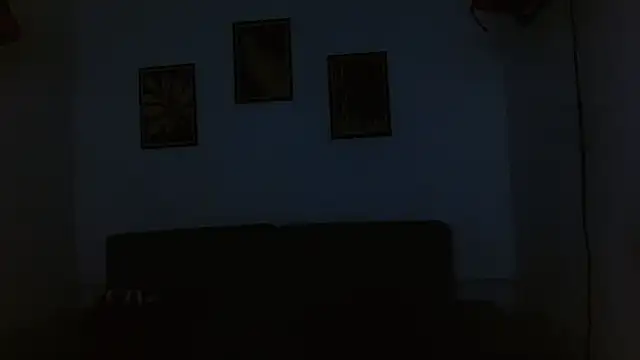 drake_laconte webcam