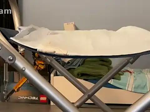 Preview of renegade1608