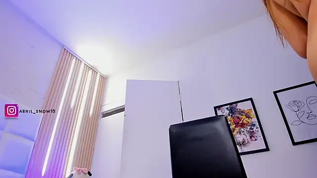 abril_snow webcam