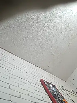 valeriaswang_Lucas webcam