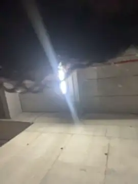 ZarahFerreira webcam