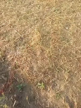 finableknee (Ask my age) - Pic fuck sex