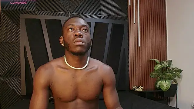 Oliver_Laurent_ webcam