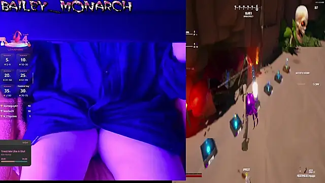 baileymonarch webcam