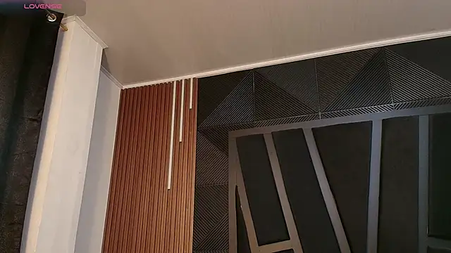 Oliver_Laurent_ webcam