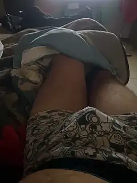 Llavedepalanca webcam