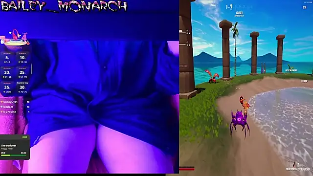 baileymonarch webcam