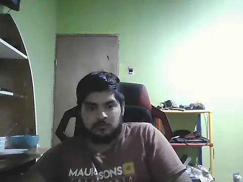 SpritzedManakin webcam