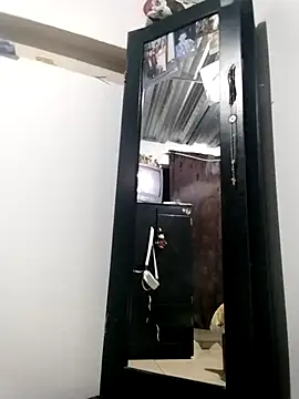 vegonicarouge webcam