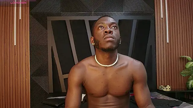 Oliver_Laurent_ webcam