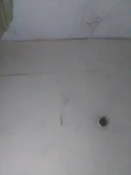 cobrosdepagos webcam