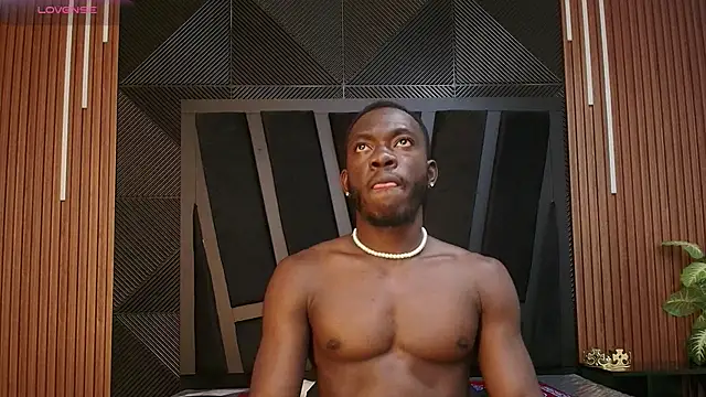 Oliver_Laurent_ webcam