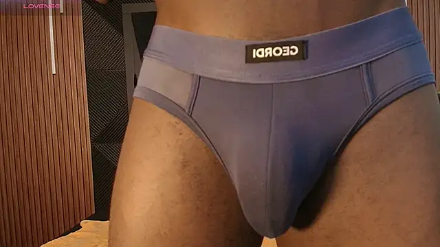 Oliver_Laurent_ webcam