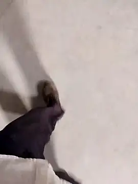 haryanaboypanipat12 webcam