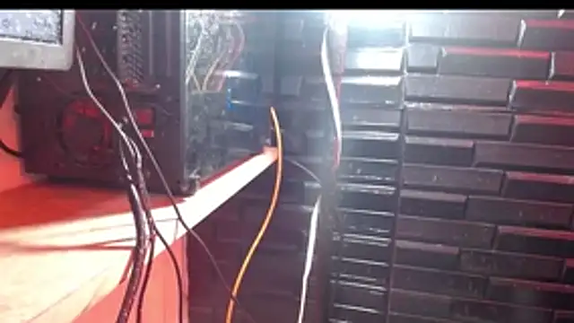 Charlotte_Stone18 webcam