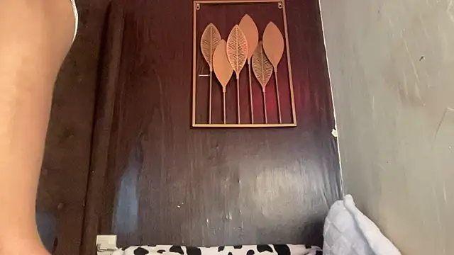 majestic_sydney webcam