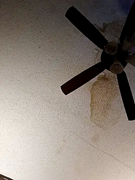 HexedPortrait live sex cam