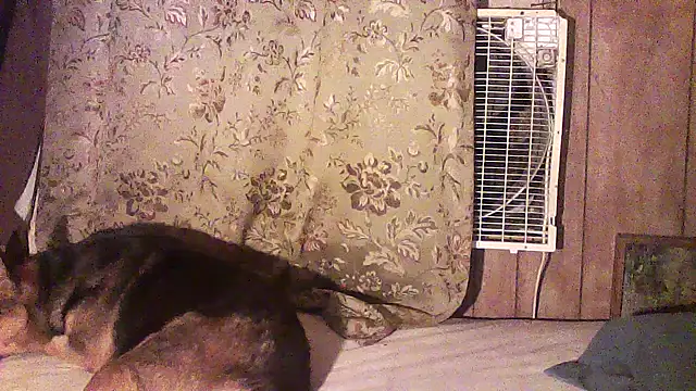 luke_thighwalker2469