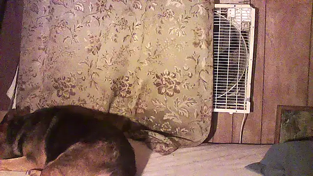 luke_thighwalker2469 webcam