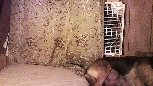 luke_thighwalker2469 webcam