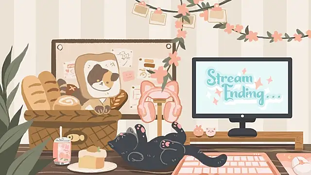 geekycastillo webcam