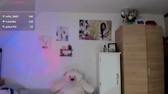 Veronikolsen- webcam