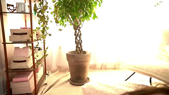 TheMaddisonShow_ webcam