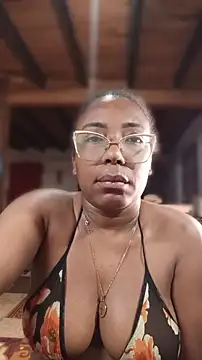 ChanneldelaCroix webcam