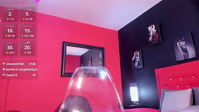 Henrikvermillion webcam