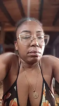 ChanneldelaCroix webcam