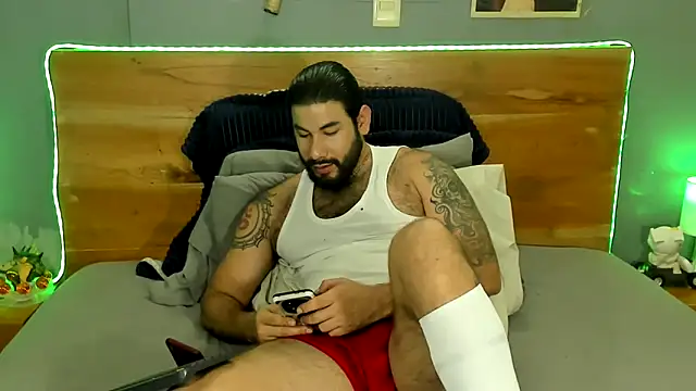 Prometeo-grizzly webcam