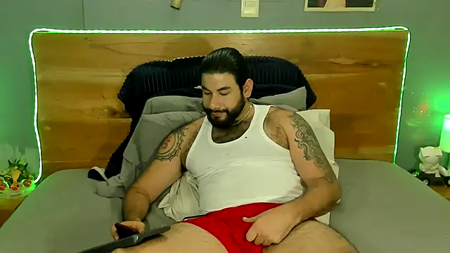 Prometeo-grizzly webcam