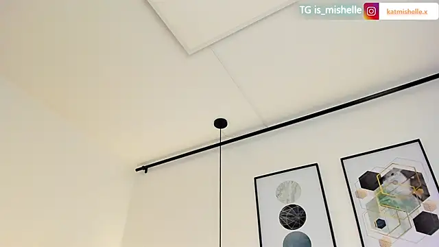 _mishelle webcam
