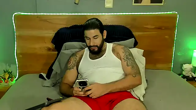 Prometeo-grizzly webcam